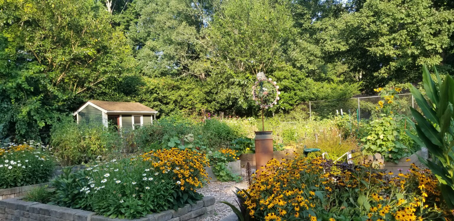 Whitehall Raleigh A townhome community in Raleigh, NC